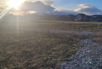 Teren Construcții intravilan de 460 mp, în Hălchiu - 3