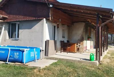 Casa Uileacu de munte - 7