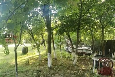 Teren in Contesti, Dambovita - 24