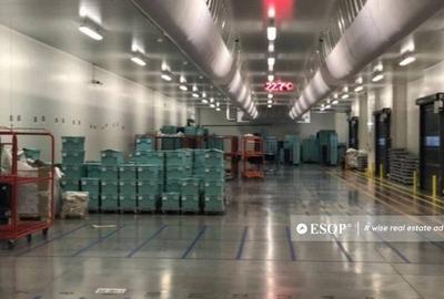 WDP Industrial Park Stefanesti, spatii industriale, 5.000... - 7