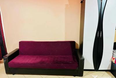 Garsonieră în Giurgiului - 5