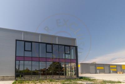 Inchiriere hala noua zona Bascov la DN 7C - 3