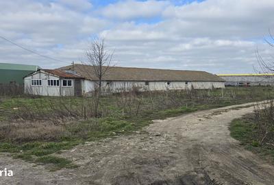 Spațiu comercial, în Topraisar - 2