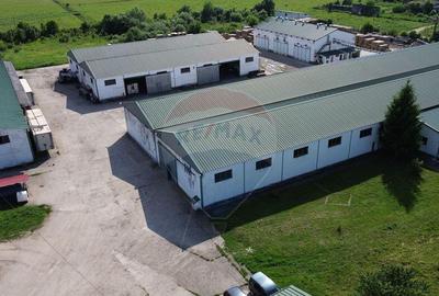 Hale de vanzare-ideale pentru depozit sau productie - 18