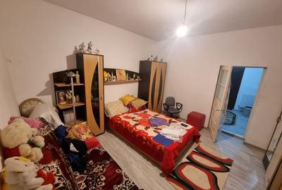 Delfinariu -casa de caramida - 16