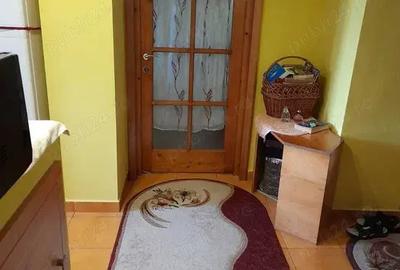 Ap 2 camere Viorelelor Bacau, spatios luminos aproape de lac si insula - 4