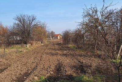 Casă în Borș - 7