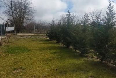 Teren de 830 mp, în Central