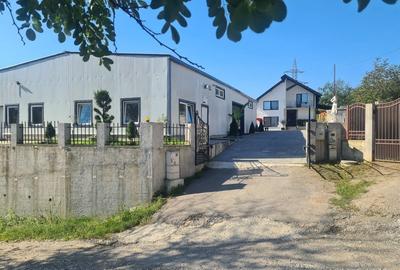 Casă cu 4 camere cu Teren 1750 Mp în Central - 9