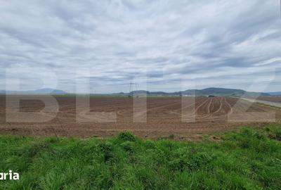 Teren de 18000 mp, în Hărman - 1