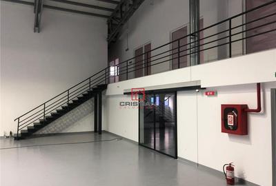 Depozit/hala/spatiu industrial Theodor Pallady - Drumul Int - 5