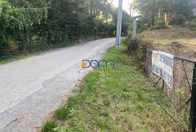 Teren intravilan cu utilitati si proiect de casa - 9