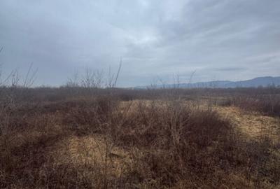 Teren de 8200 mp, în Tăuții-Măgherăuș - 1