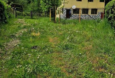 Casă cu 5 camere cu Teren 3908 Mp în Central - 18