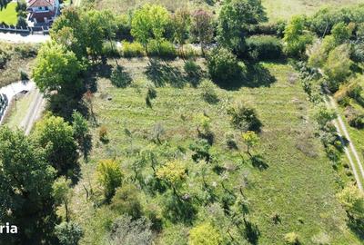 Spațiu comercial, în Viile Satu Mare - 7