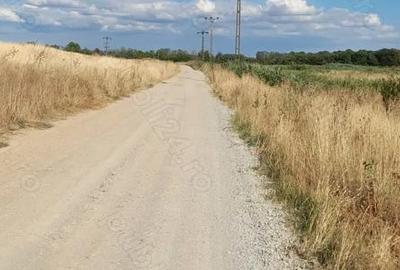 Teren în Mofleni - 2