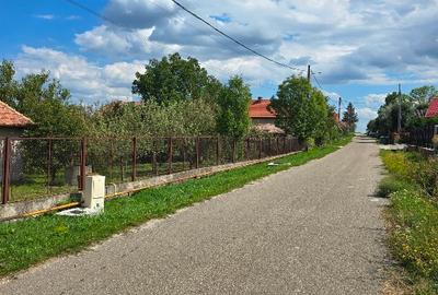 Gradina de vanzare