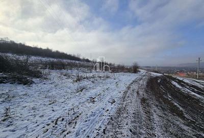 Teren arabil extravilan 21.700 Mp - 4