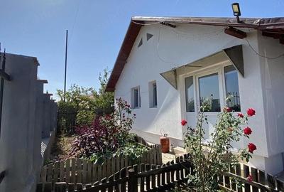 Casă cu 2 camere cu Teren 438 Mp în Buturugeni - 3