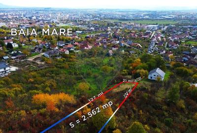 Teren de vanzare Baia Mare str. Strada Miron Costin - 3