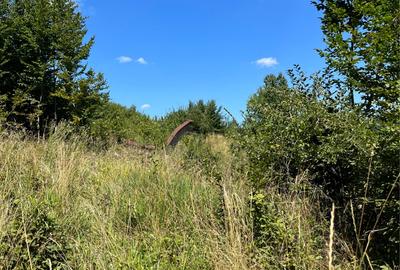 Teren de 10000 mp, în Alexandru cel Bun - 1