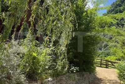 Casa de vacanta cu 4 camere, 1470 mp teren, Sugag - 2