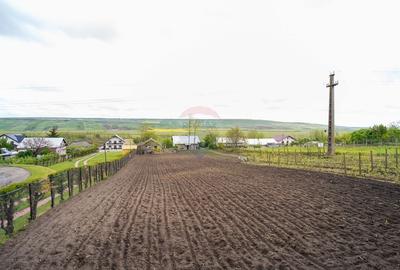 Casa / Vila cu 10 camere, de vanzare. Todireni, Botosani. - 11