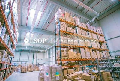 Spațiu industrial, de 2,200 mp, în Chitila - 6