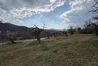 Teren în Micloșanii Mici - 6