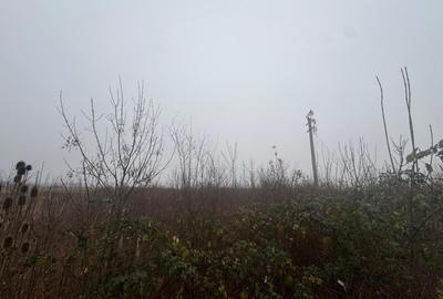 Teren agricol intravilan de 17700 mp, în Freidorf - 2