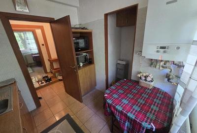 Apartament cu 3 camere decomandat, mobilat în Pajura - 2