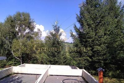 Spațiu comercial, în Bran - 5