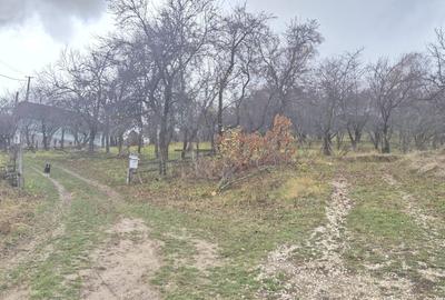 Teren intravilan Sohodol, priveliste catre Bucegi, Piatra Craiului,Magura Codlei - 4