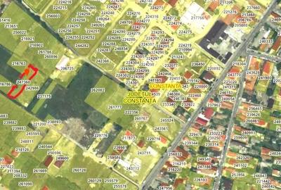 Teren de 750 mp, în Viile Noi - 5