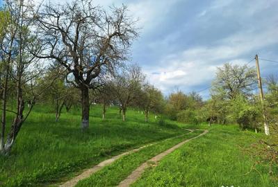 Casă cu 5 camere cu Teren 5950 Mp în Nord - 11
