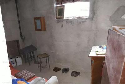 Vila D P M 230mp construiti la GRI, teren=591mp Brailita - 7