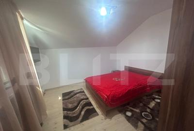 Casa cu 4 dormitoare, 160 mp, 700, mp curte, zona Selgros - 32