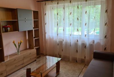 Apartament cu 2 camere semidecomandat în Cetate - 1