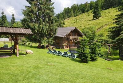 Spațiu comercial, de 600 mp, în Arieșeni - 4