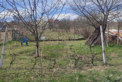 Vanzare casa curte sat Padureni com Jaristea Foc?ani - 1