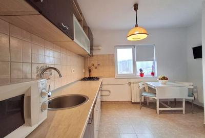 Garsonieră decomandată, mobilată în Doamna Ghica - 8