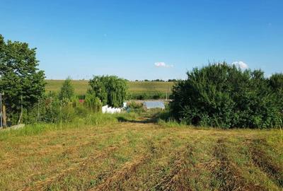 Teren Construcții intravilan de 3400 mp, în Sud-Est