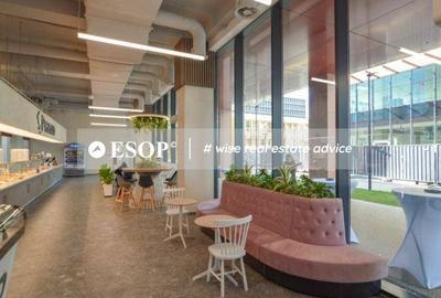 Spațiu comercial, de 60 mp, în Central - 6