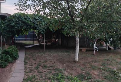 Apartament cu 2 camere decomandat în Remetea Mare - 5