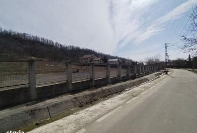 Teren de 5100 mp, în Valea - 8