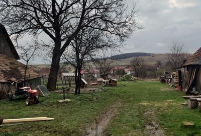 Casa Aghiresu Casa Aghiresu - 5