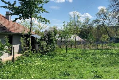 Teren 2100 metri Casa Traditionala - 3