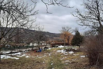 Oportunitate de investitie, teren intravilan Husi, 10435 mp - 12