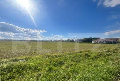 Teren Extravilan in Apropiere de Jelna 25.800 mp, cu Ut - 2