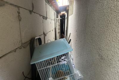 Casa / Vila zona Coiciu - 8